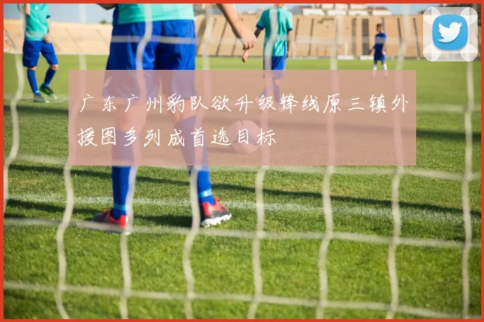 广东广州豹队欲升级锋线原三镇外援图多列成首选目标