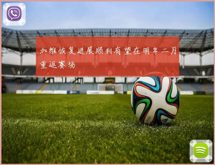 加维恢复进展顺利有望在明年二月重返赛场