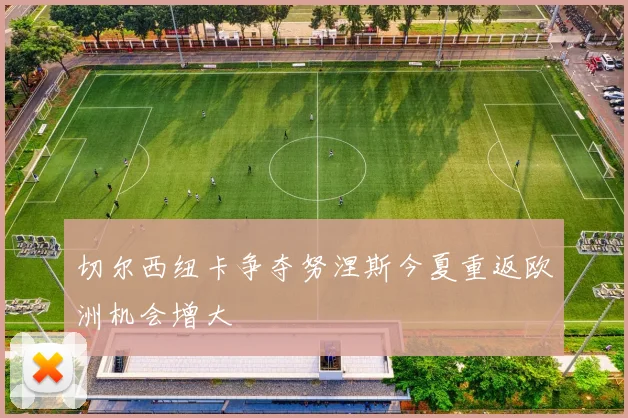 切尔西纽卡争夺努涅斯今夏重返欧洲机会增大