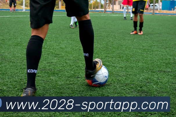 2028体育平台生态图